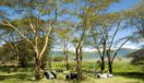 Dinner Ngorongoro Crater