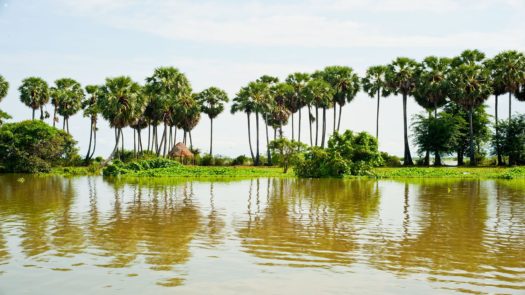 Scenery around the Mekong River, Vietnam