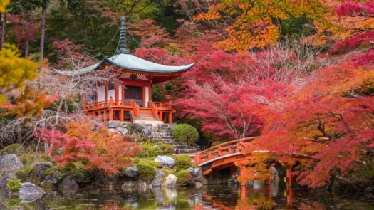Kyoto Autumn Leaves