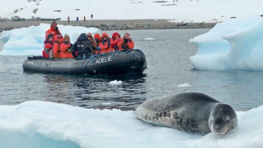 boat with tourists photographing seal Antarctica