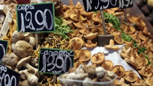 Mushrooms food market