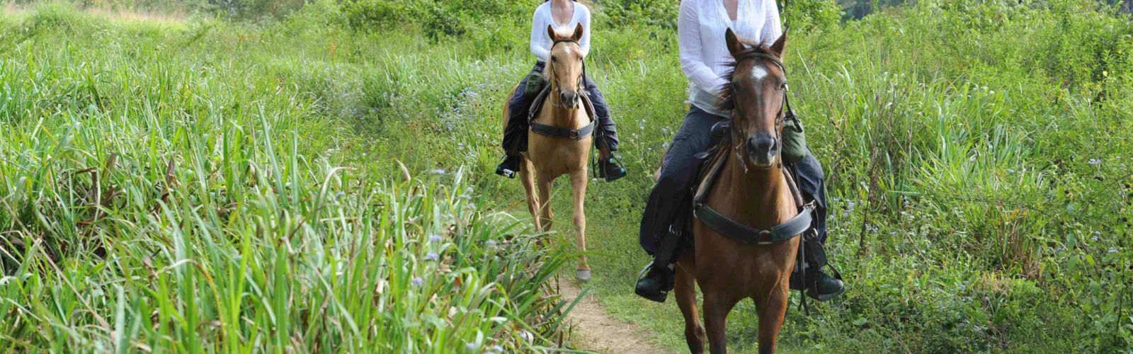 Horse Riding Blancaneaux Belize