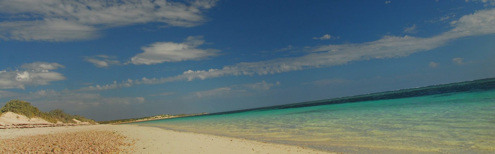 beach sal salis