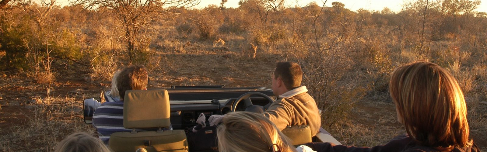 A family on Safari at Tuningi Lodge South Africa