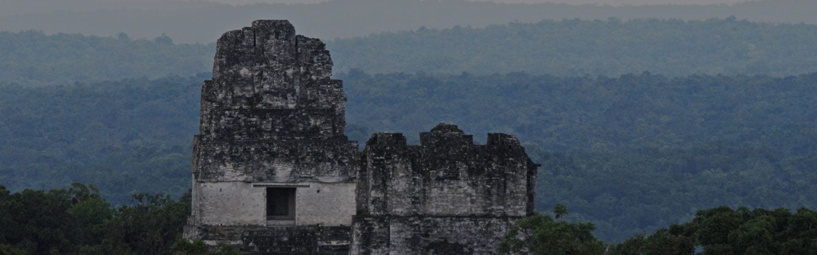 Mayan ruins of Tikal in Guatemala peeking through the forest canopy at sunset