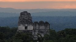 Mayan ruins of Tikal in Guatemala peeking through the forest canopy at sunset