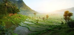 private day tours in bali