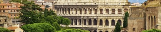 Rome Colosseum amongst lush green trees