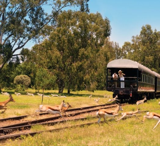 Rovos Rail Journey, South Africa