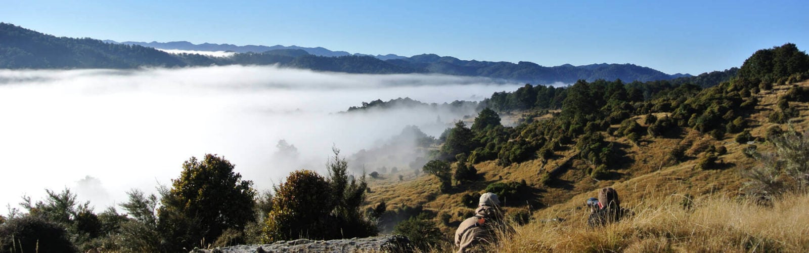 Poronui Taharua Valley New Zealand Trekking