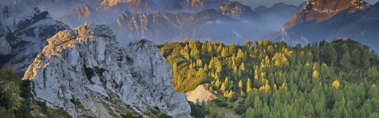 Aerial view of the Italian Julian Alps coated in trees, Italy