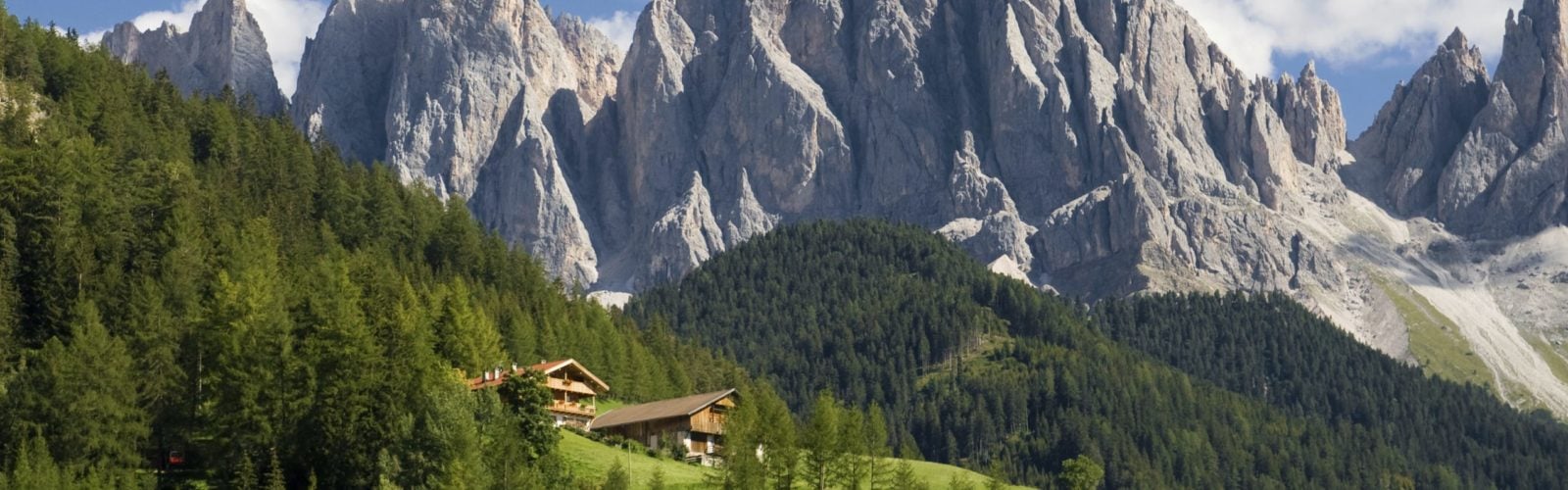 Thick forest and Dolomites peaks on a summer's day, Italy
