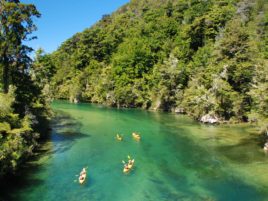falls-river-abel-tasman-new-zealand