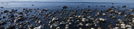 Pebbles at Lake Taupo, North Island, New Zealand