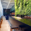 novotel-auckland-airport-living-wall