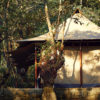 kohima-camp-tent
