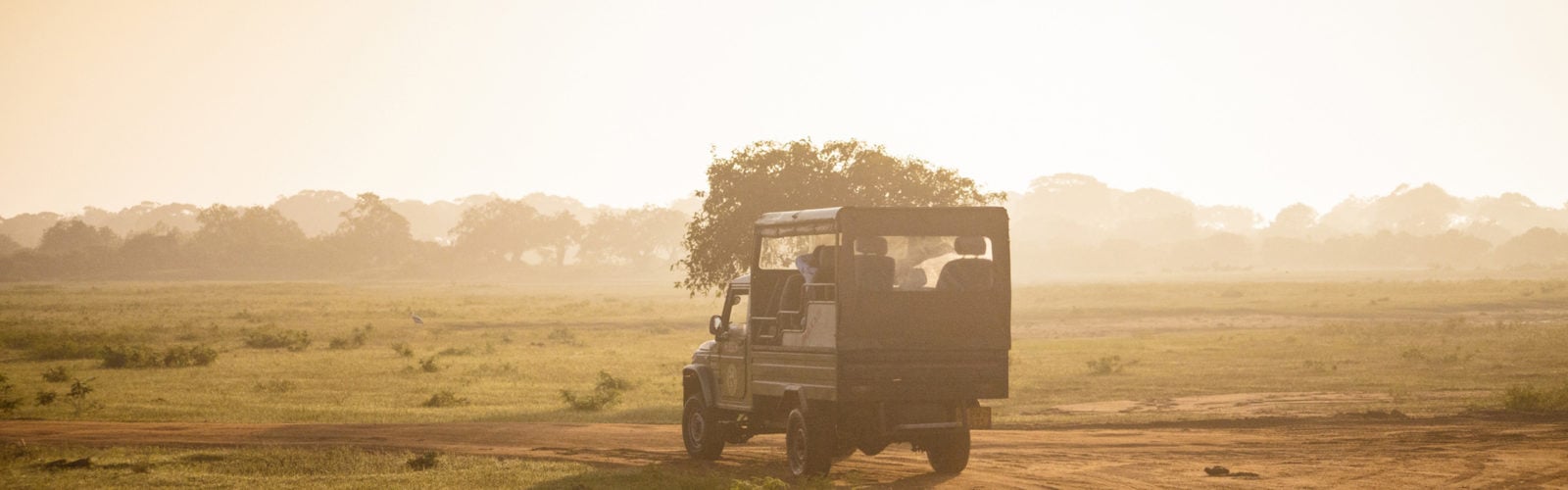 Safari car on sunrise in Yala National Park, Sri Lanka