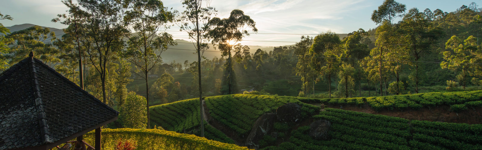 View from the summerhouse, Ceylon Tea Trails, Sri Lanka