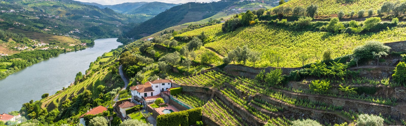 vineyards-landscape-douro-valley-portugal