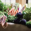 manoir-aux-quatre-saisons-veggies