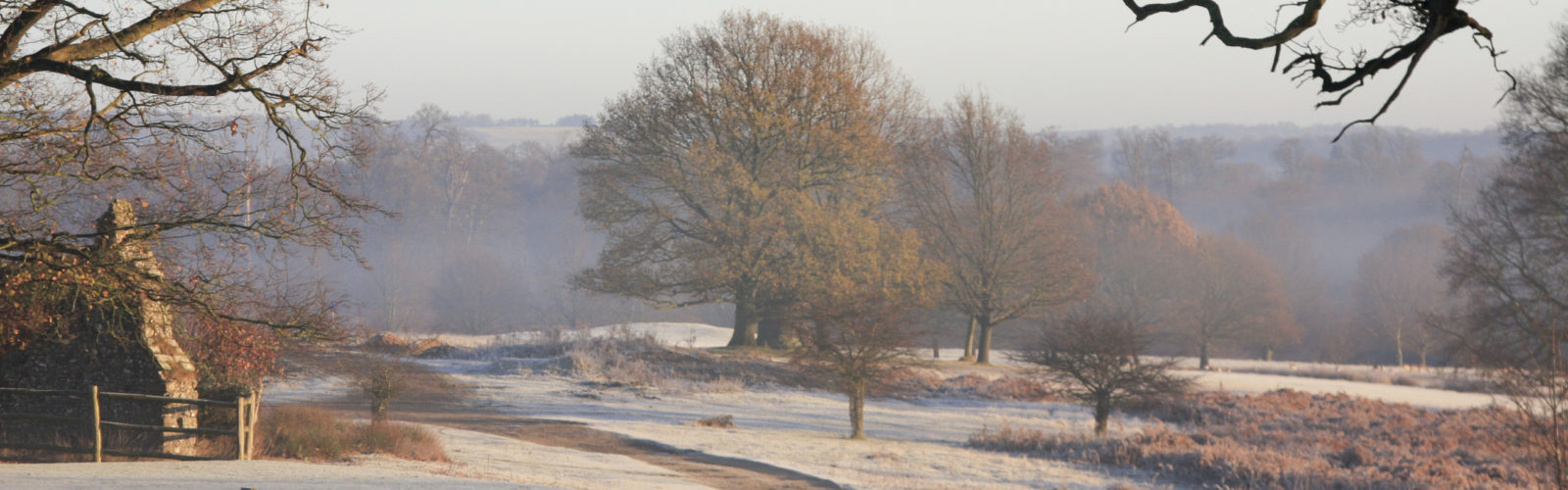 southern-england-landscape-frost