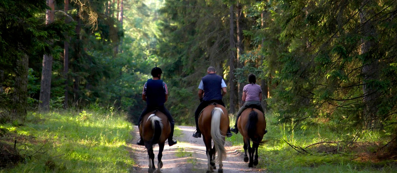 horse-riding-portugal
