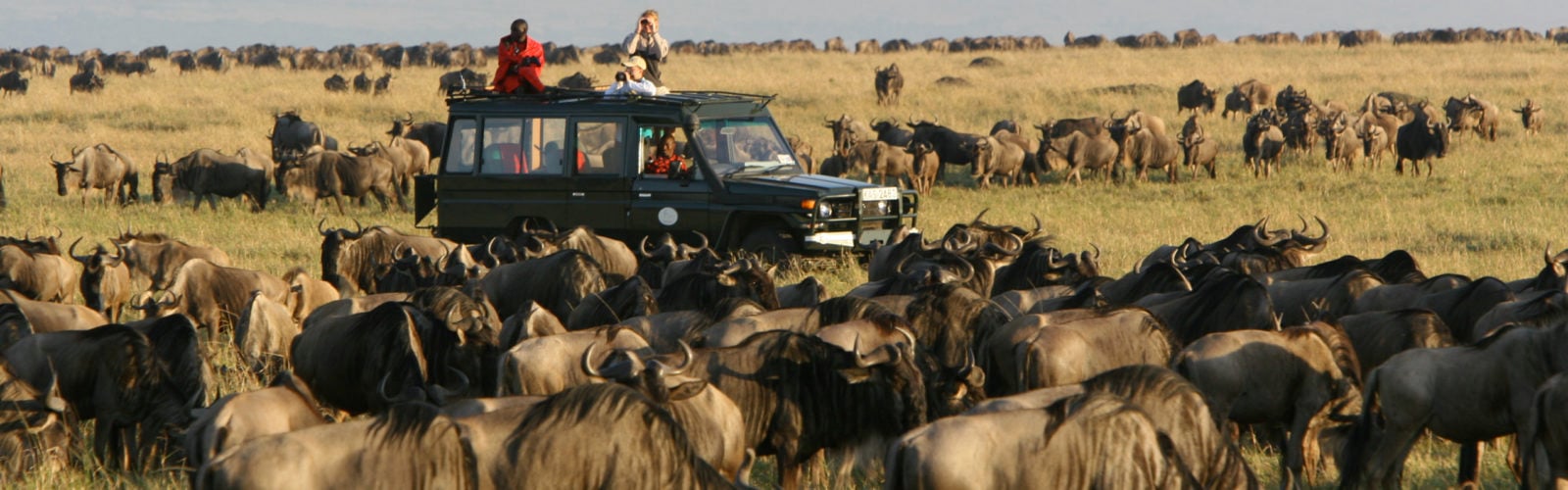 rekero-camp-safari