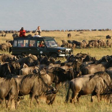 rekero-camp-safari