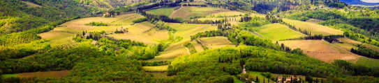 chianti countryside Italy