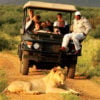 madikwe-hills-safari-south-africa