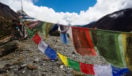 prayer-flags-nepal