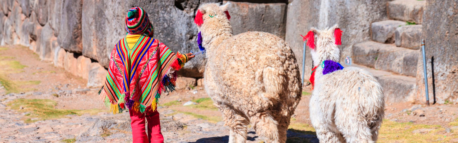 peruvian-child-with-llama