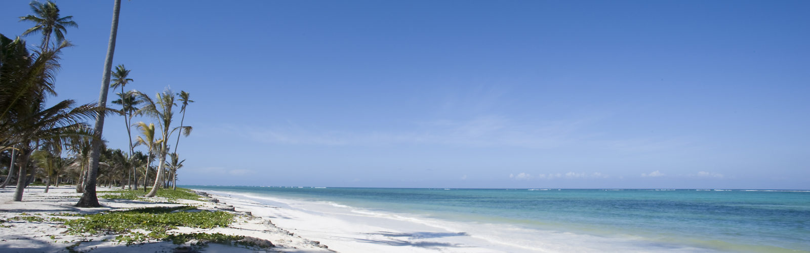 Bwejuu Beach Zanzibar