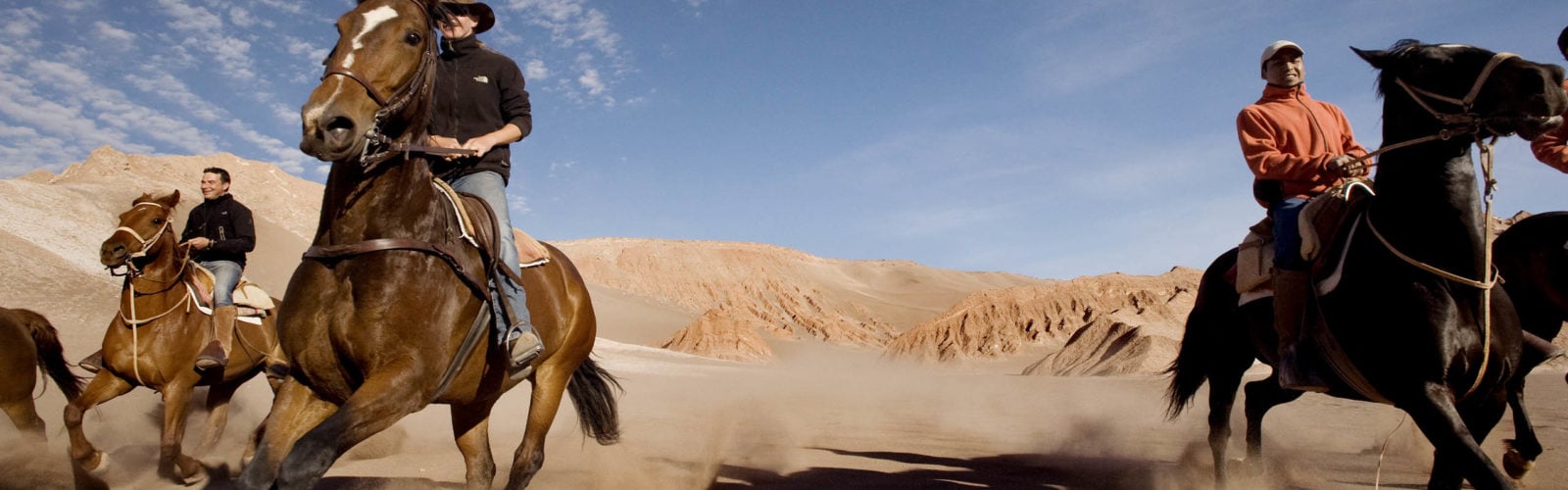 Galloping horses, Atacama Desert, Chile