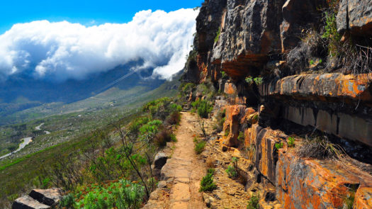 Table Mountain Hiking Trail South Africa