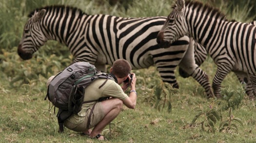Woman photographing zebra, Serengeti, Tanzania