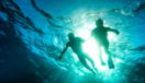 Senior couple snorkelling in tropical sea