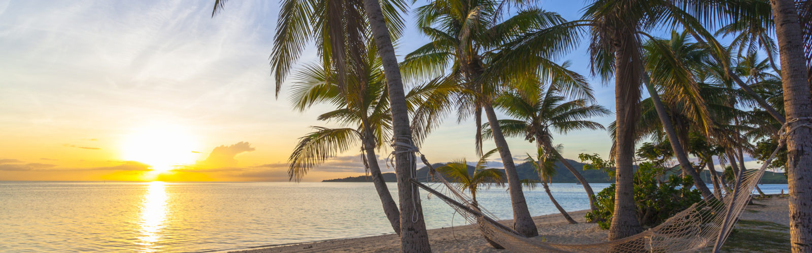 fiji-sunset-palm-trees