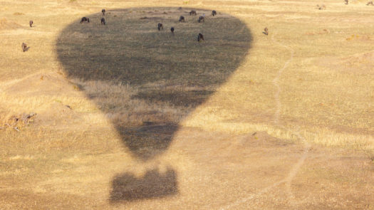Balloon over Africa's Serengeti and Wildebeest Herd