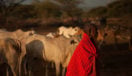Old Maasai woman, Kenya