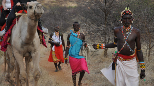 Camel ride, Sasaab, Kenya