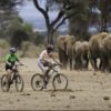 ol-donyo-lodge-cycling-and-elephants