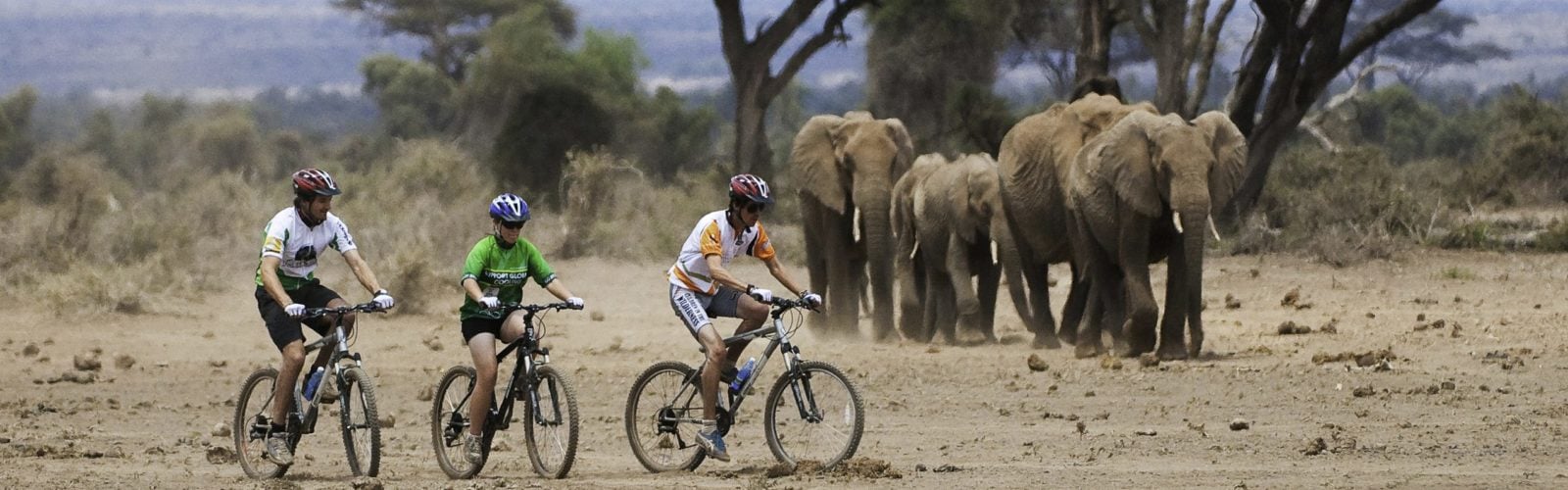 ol-donyo-lodge-cycling-and-elephants