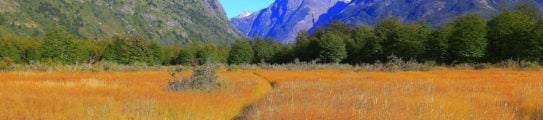 Chilean Patagonia meadows Torres Del Paine