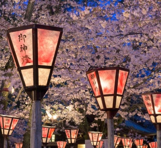 lanterns-kyoto-cherry-blossom