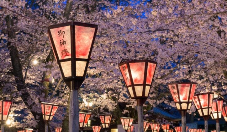 lanterns-kyoto-cherry-blossom