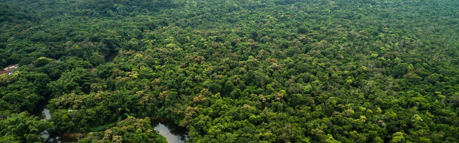 brazil-amazon An aerial view of the Amazon