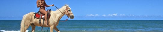 trancoso-horse-on-beach-brazil