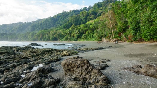 Tourists walking in Corcovado National Park beach and forest, Osa Peninsula, Costa Rica