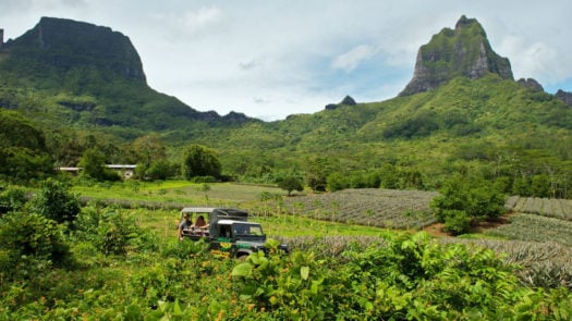 moorea-island-jeep-safari
